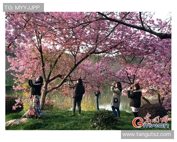 武汉网球队的速度之美：探索他们的训练与比赛背后的故事