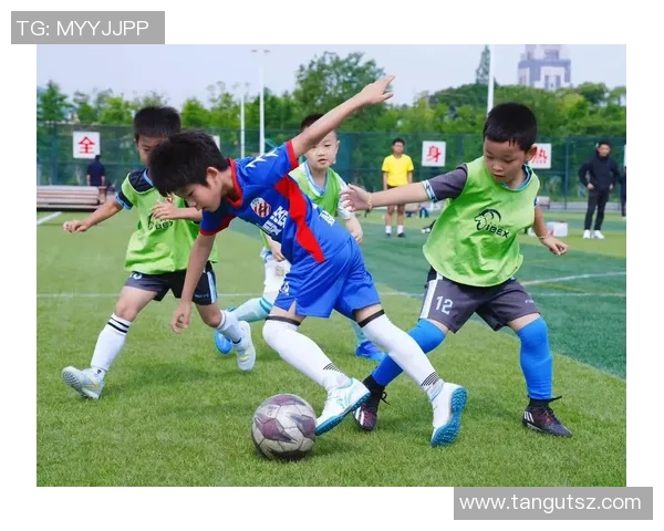 单身汉足球明星的魅力与挑战：在绿茵场上追寻爱情与梦想的故事